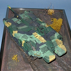 P3100016.JPG