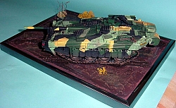 ST7.jpg